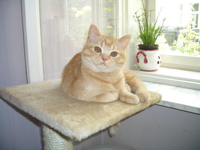 Kopie von CIMG4420.JPG