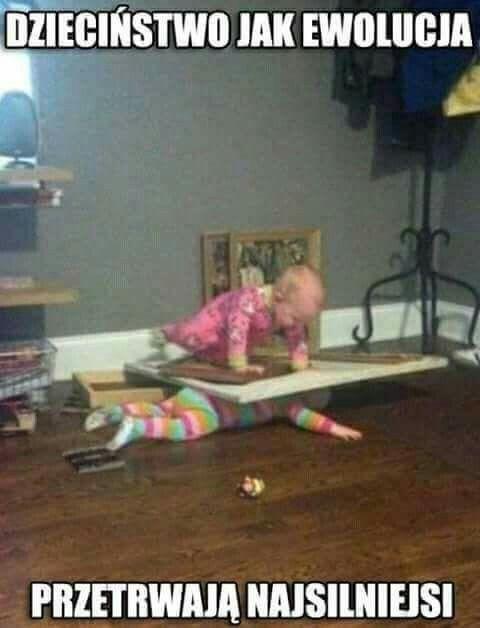 najsilniejsi - c977efd2b0b655a1e8336dfef917dead.jpg