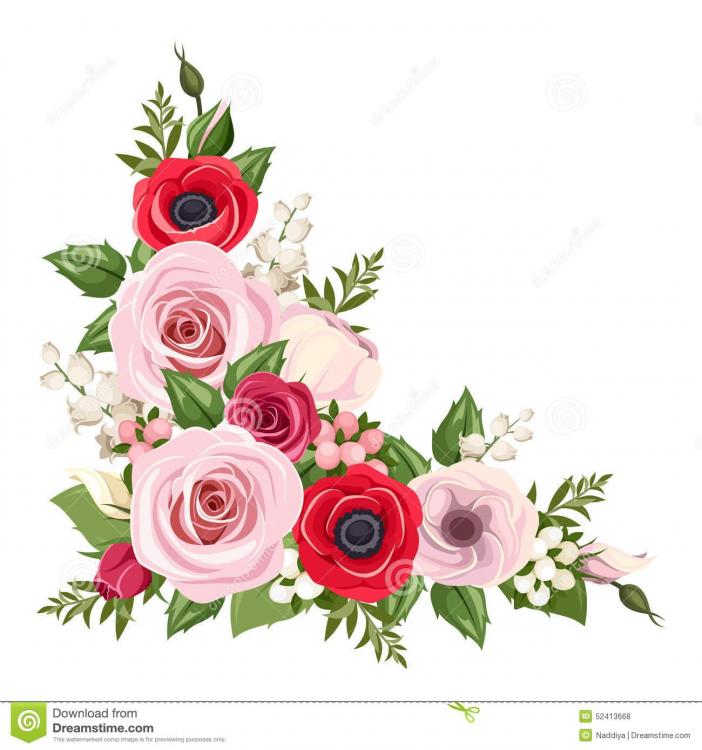 roses-lisianthus-et-fleurs-et-muguet-rouges-et-roses-d-anémone-fond-faisant-le-coin-de-vecteur-52413668.jpg